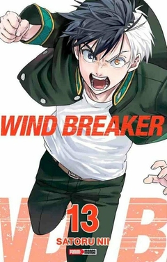 Wind Breaker #13