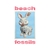 Beach Fossils - Bunny (Cassette)