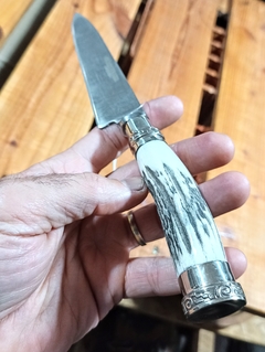 Imagen de Cuchillo Asta Y Alpaca Acero Inoxidable Cabo Fino Pampeana