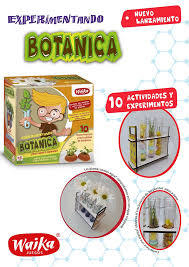 EXPERIMENTANDO BOTÁNICA - comprar online