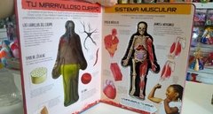 MIRÉMOS DENTRO DEL CUERPO HUMANO - comprar online