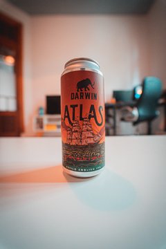 Promo - Pack Lupulado (12 latas) - Darwin Cerveza Artesanal