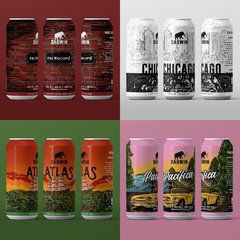 Promo Pack 12 latas Surtidas - Darwin Cerveza Artesanal