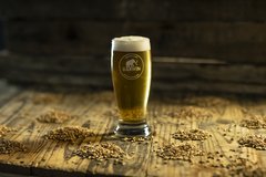 Promo - Pack Maltoso (12 latas) - Darwin Cerveza Artesanal