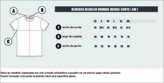 REMERA MC REGULAR CUELLO V (03002F5) en internet