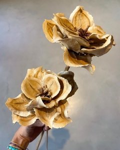 Flor de Jacarandá en internet