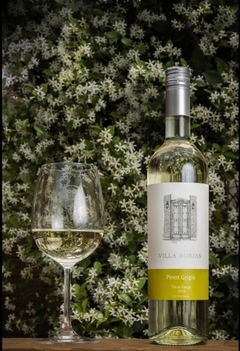 Villa Borjas - Pinot Grigio