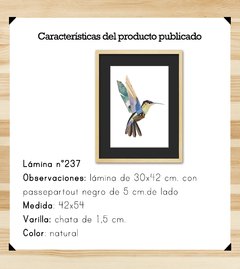 Colibrí de Madera - comprar online