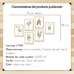 Botánicos Hierbas Aromáticas Set 15x20 - tienda online