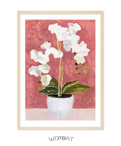 Orquídeas 50x70 - tienda online