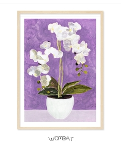 Orquídeas 60x85