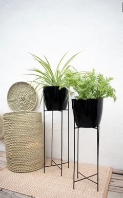 Duo Glory con plantas