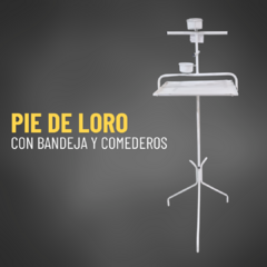 Pie de loro con bandeja y comedero