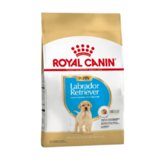 Royal Canin Labrador Retriever Cachorro