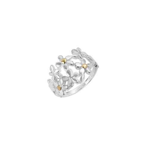 Tienda Online de Joyeria El Rubi