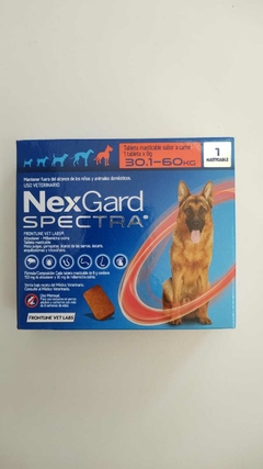 NEXGARD SPECTRA 30 A 60KG