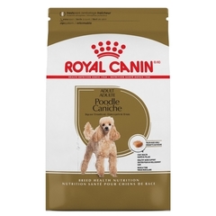 MINI POODLE 1KG - comprar online