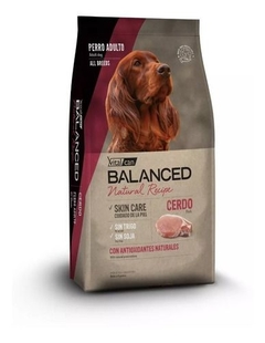 VITALCAN BALANCED NATURAL RECIPE CERDO 15KG