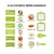 Mandolina smart veggie slicer con accesorios en internet