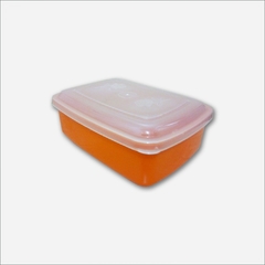 POTE PLASTICO RETANGULAR COLORS COM TAMPA TRANSPARENTE 1000ML 1110 FAZOLIN - comprar online