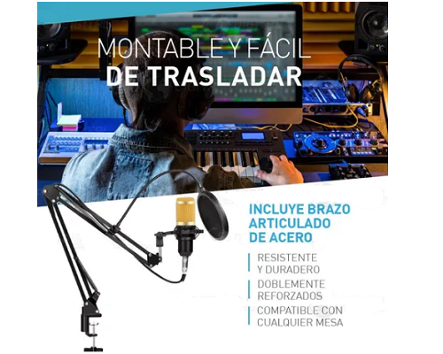 Kit Micrófono Condensador Profesional Con Brazo + Filtro Araña