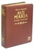 BIBLIA EDICAO ILUSTRADA LUXO - MEDIA - MARROM - AVE-MARIA