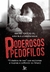 PODEROSOS PEDÓFILOS - AMAURY RIBEIRO JR. - MATRIX