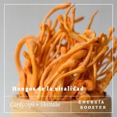 ENERGÍA BOOSTER: Cordyceps + Shiitake (Adaptógenos)