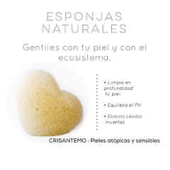 Esponja facial con extracto de CRISANTEMO