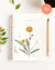 Cuaderno Girasol