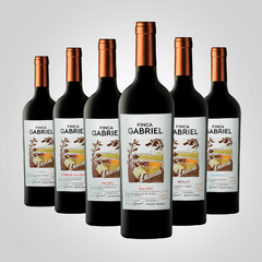 Finca Gabriel - comprar online