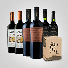 Kit Malbec selección del enólogo - comprar online