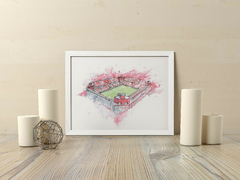 Cuadro Cancha de Independiente - 34x44 - comprar online