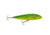 ISCA REBEL JUPIN MINNOW T20 - DIV. CORES