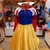 Fantasia Branca de Neve