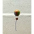 Balão (14 cm) - comprar online