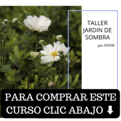 Taller de Sombra por Zoom Grabado - comprar online