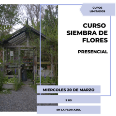 CURSO PRESENCIAL DE SIEMBRA DE FLORES