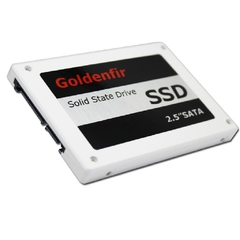 HARD DISK HD SSD 1TB GOLDENFIR PSHOP