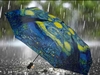 Paraguas Vincent Van Gogh