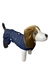 Doct Pet Roupa Para Cachorro Vestido Jeans Indigo