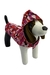 Doct Pet Roupa Para Cachorro Rosa Camuflada Com Capuz