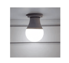 Lâmpada Led Bulbo 4,9w Branco Frio Bivolt - loja online