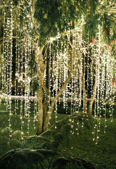 Imagem do Pisca Pisca 100 Leds Fio Verde 8 Funções 10 metros Decoração Natal Branco Quente 110v