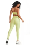 LEGGING EXCLUSIVA / VERDE CITRUS CAJUBRASIL - comprar online