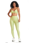 LEGGING EXCLUSIVA / VERDE CITRUS CAJUBRASIL