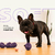 Juguete Rellenable Toni Pets Glotoni Soft - comprar online