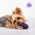 Juguete Rellenable Toni Pets Glotoni Soft - Casper Pet Store