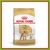 Royal Canin Caniche Adulto 3Kg