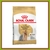 Royal Canin Yorkshire Terrier Adulto 1Kg